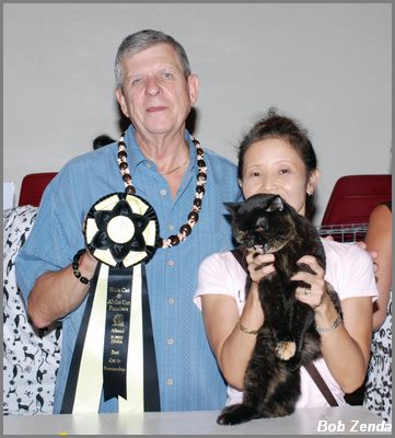 Best Cat in Premiership 2